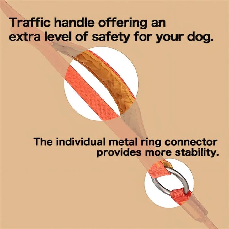 Dog Slip Lead Dog Leash Training Leash