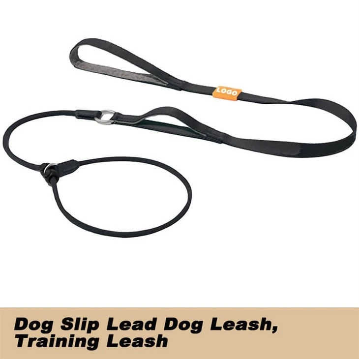 Dog Slip Lead Dog Leash Training Leash
