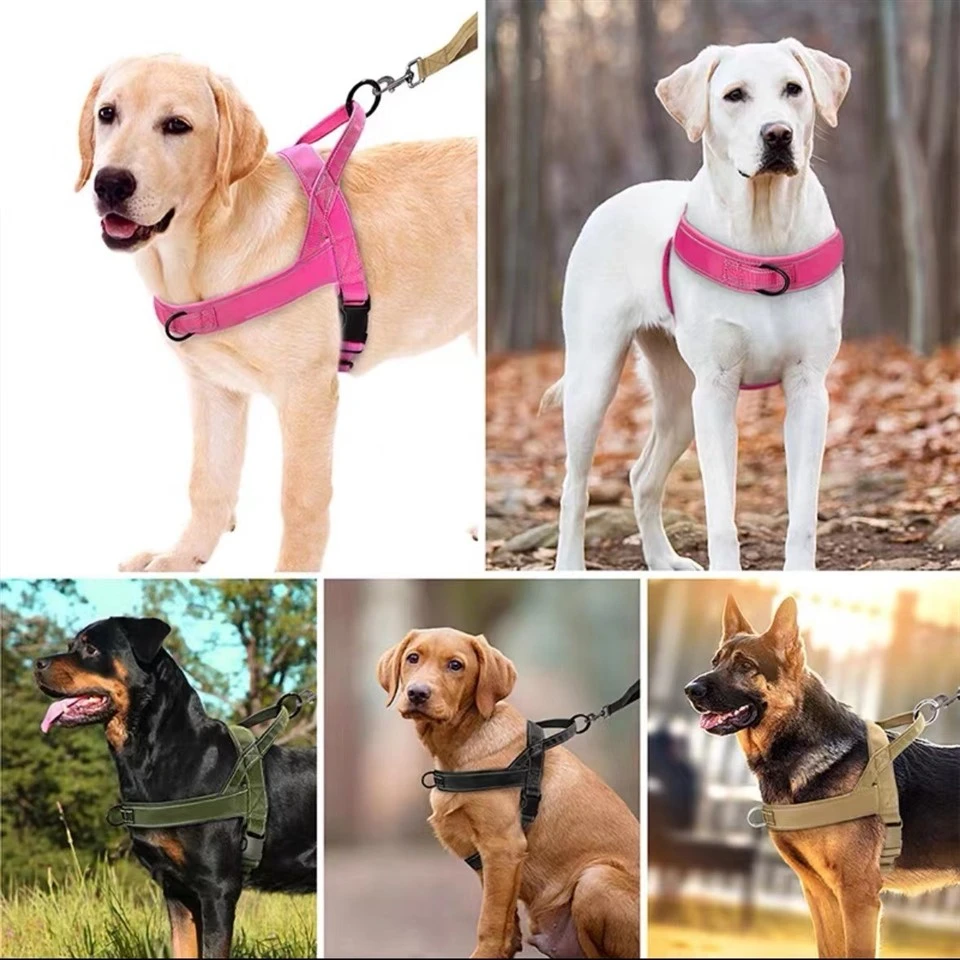 Dog Training Harness factory