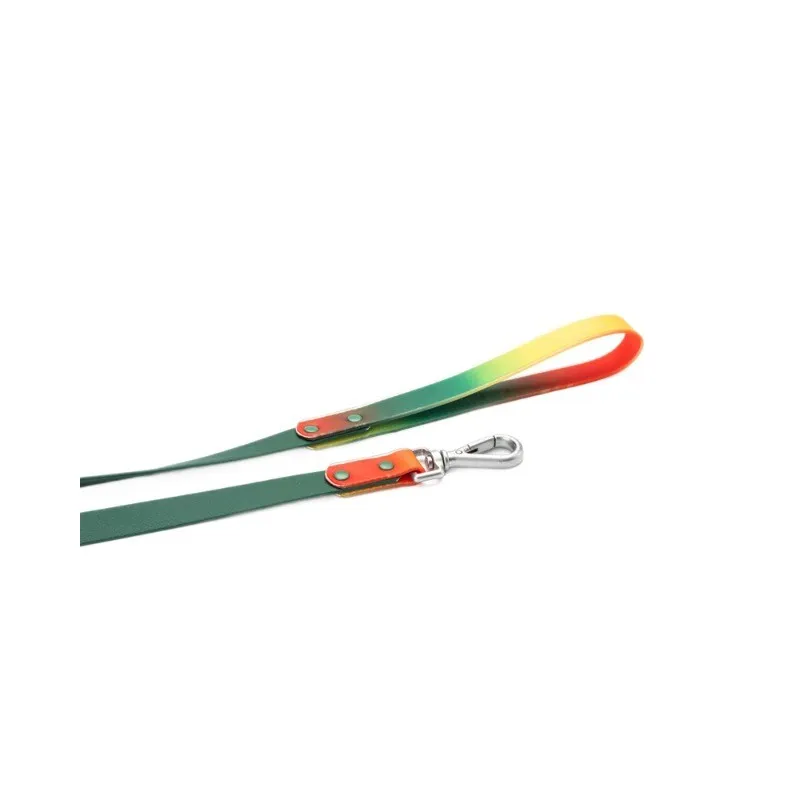 Gradient Pvc Dog Leash manufacturers
