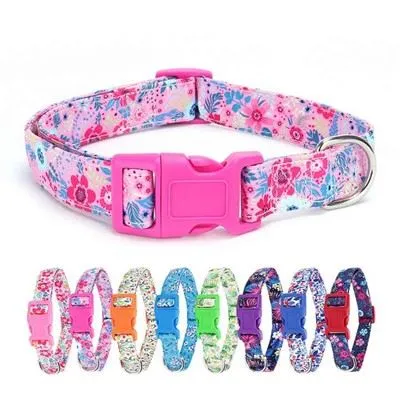Dog Collar With Colorful Buckle