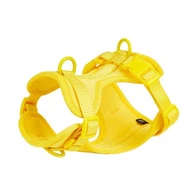 Επώνυμο σκυλάκι με επένδυση